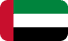 Dubai flag