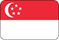 Singapore flag